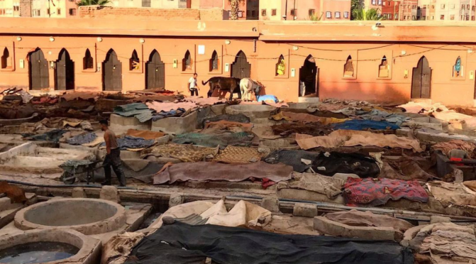 THE TANNERIES OF MARRAKECH